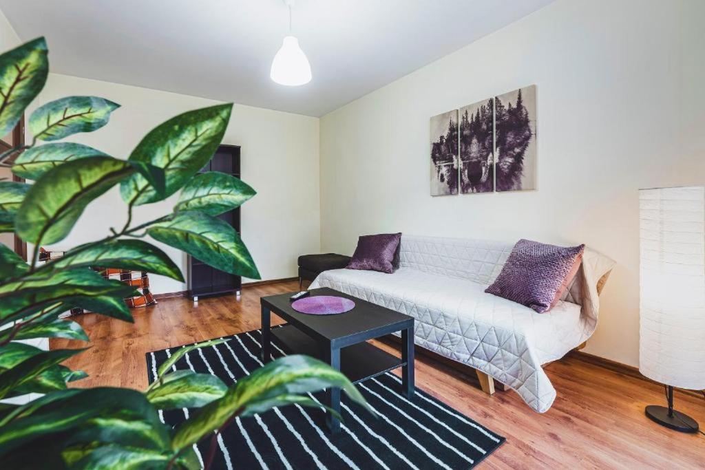 Apartament Niecala Queens Superior Люблин Экстерьер фото